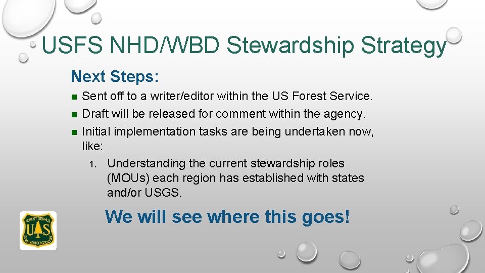 USFS NHD/WBD Stewardship Strategy Next Steps: Sent off to a writer/editor within the US