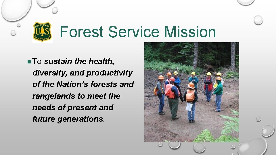 Forest Service Mission To sustain the health, diversity, and productivity of the Nation’s forests