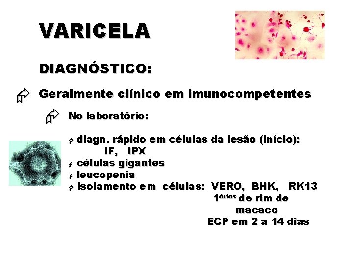 VARICELA DIAGNÓSTICO: Geralmente clínico em imunocompetentes No laboratório: diagn. rápido em células da lesão VARICELA DIAGNÓSTICO: Geralmente clínico em imunocompetentes No laboratório: diagn. rápido em células da lesão