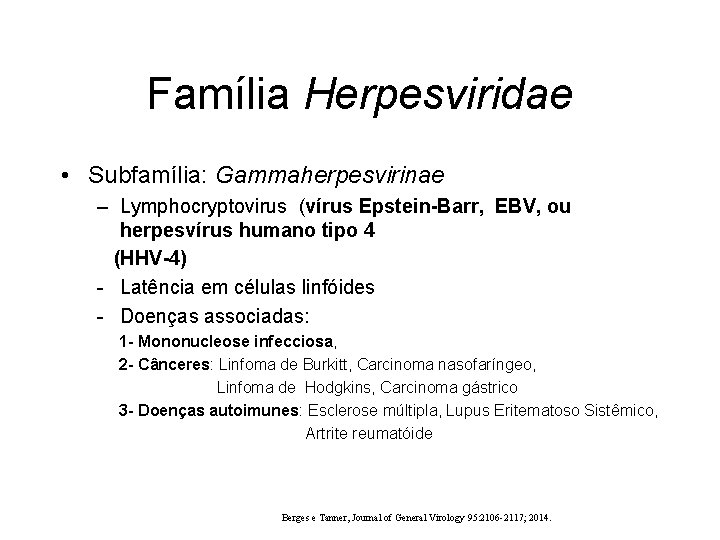 Família Herpesviridae • Subfamília: Gammaherpesvirinae – Lymphocryptovirus (vírus Epstein-Barr, EBV, ou herpesvírus humano tipo Família Herpesviridae • Subfamília: Gammaherpesvirinae – Lymphocryptovirus (vírus Epstein-Barr, EBV, ou herpesvírus humano tipo