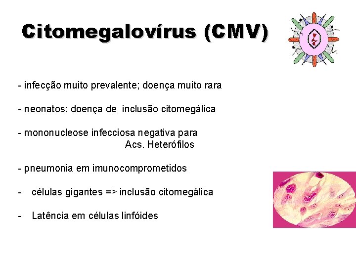Citomegalovírus (CMV) - infecção muito prevalente; doença muito rara - neonatos: doença de inclusão Citomegalovírus (CMV) - infecção muito prevalente; doença muito rara - neonatos: doença de inclusão