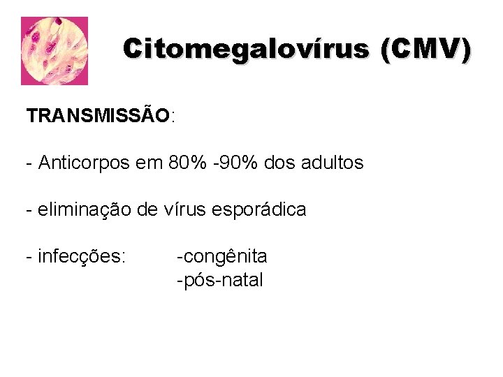 Citomegalovírus (CMV) TRANSMISSÃO: - Anticorpos em 80% -90% dos adultos - eliminação de vírus Citomegalovírus (CMV) TRANSMISSÃO: - Anticorpos em 80% -90% dos adultos - eliminação de vírus