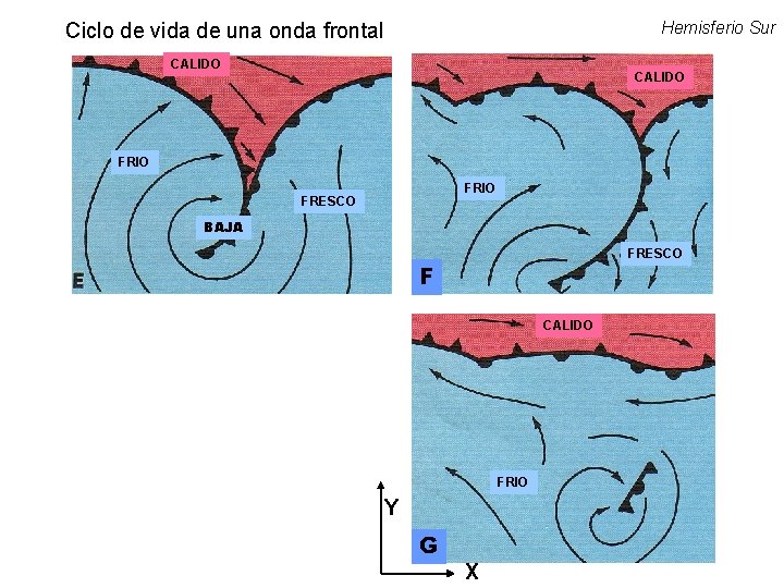 Hemisferio Sur Ciclo de vida de una onda frontal CALIDO FRIO FRESCO BAJA FRESCO