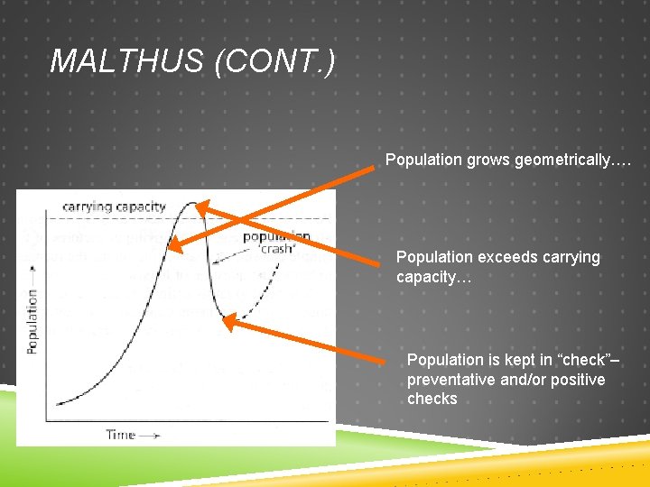 MALTHUS (CONT. ) Population grows geometrically…. Population exceeds carrying capacity… Population is kept in