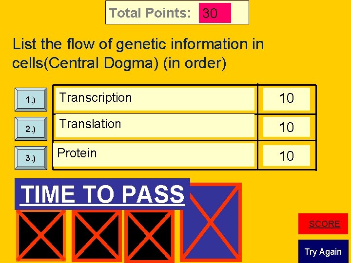 Total Points: 30 List the flow of genetic information in cells(Central Dogma) (in order)