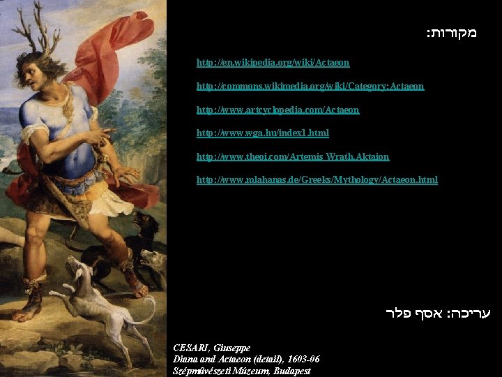 : מקורות http: //en. wikipedia. org/wiki/Actaeon http: //commons. wikimedia. org/wiki/Category: Actaeon http: //www. artcyclopedia.