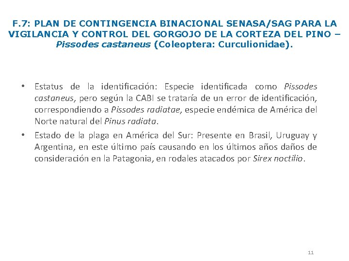 F. 7: PLAN DE CONTINGENCIA BINACIONAL SENASA/SAG PARA LA VIGILANCIA Y CONTROL DEL GORGOJO