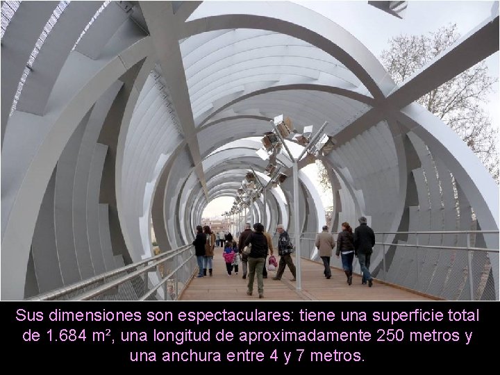 Sus dimensiones son espectaculares: tiene una superficie total de 1. 684 m², una longitud