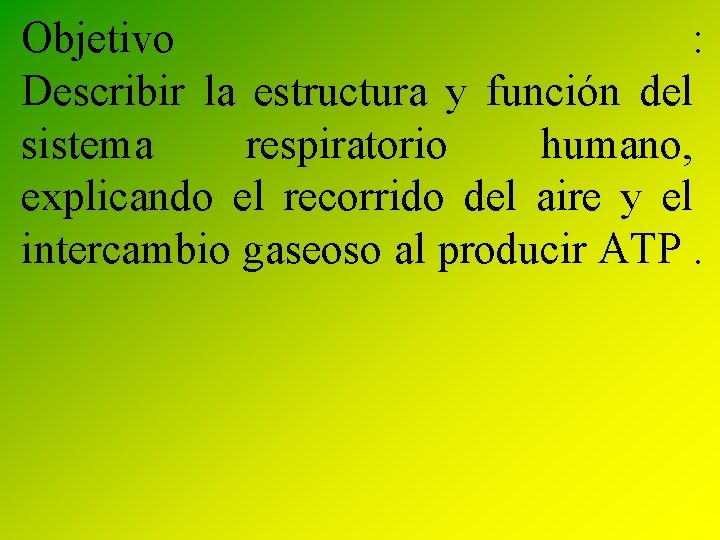 Objetivo : Describir la estructura y función del sistema respiratorio humano, explicando el recorrido