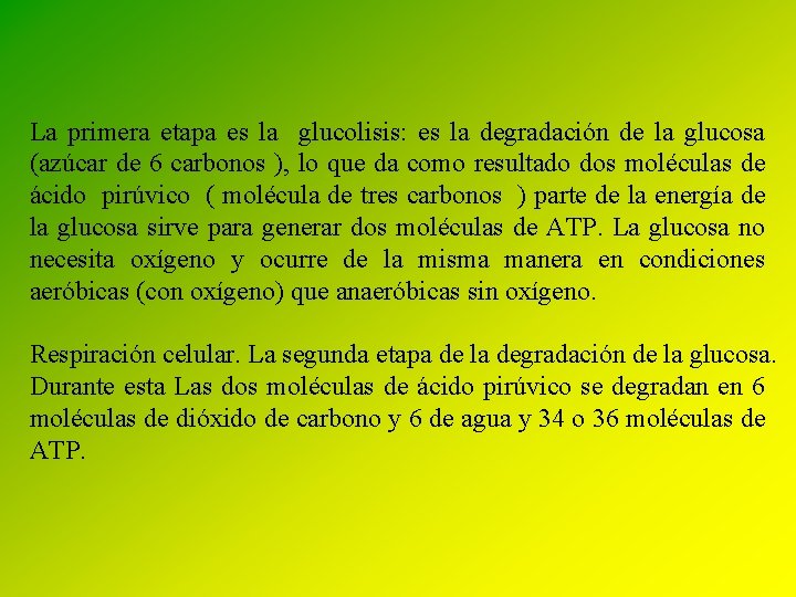 La primera etapa es la glucolisis: es la degradación de la glucosa (azúcar de