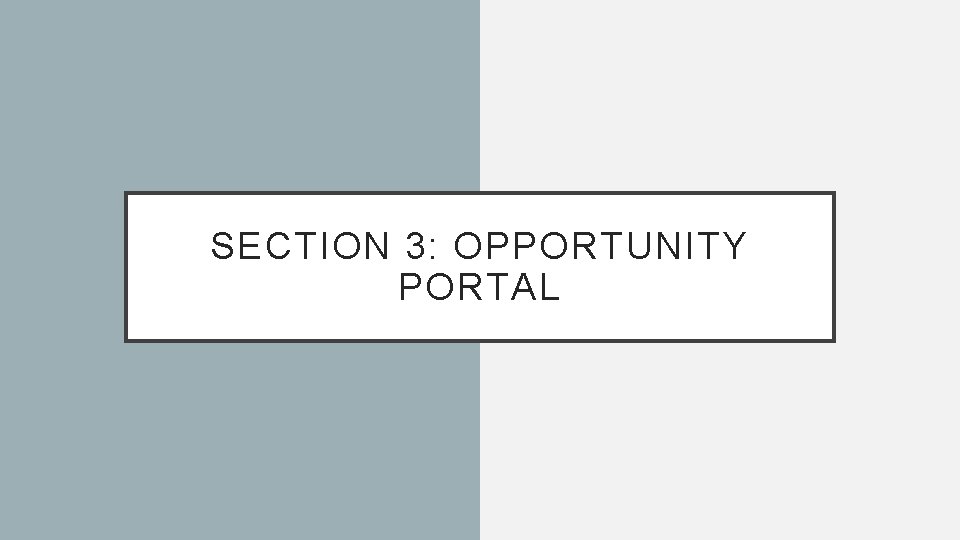 SECTION 3: OPPORTUNITY PORTAL 