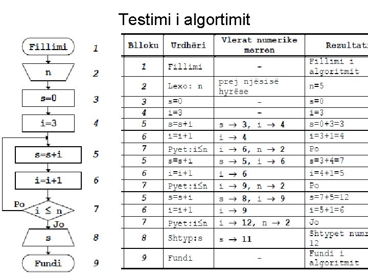 Testimi i algortimit 