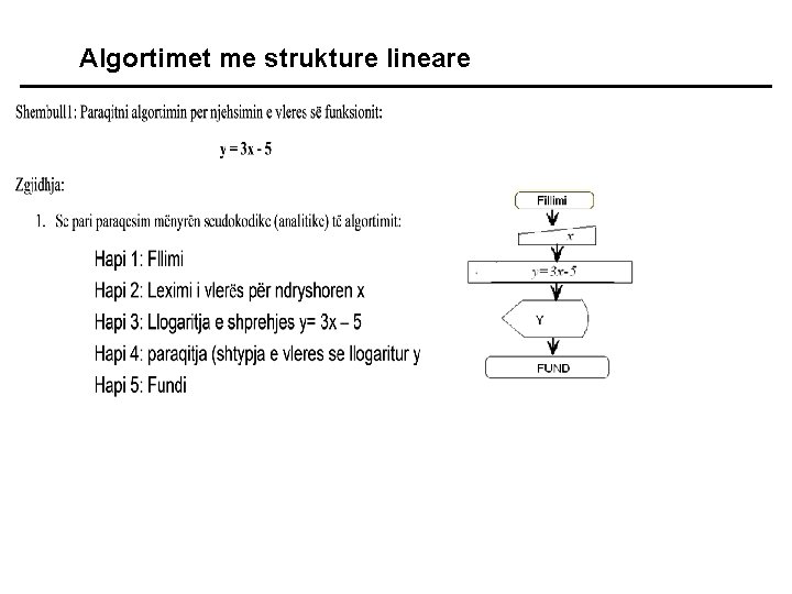 Algortimet me strukture lineare 