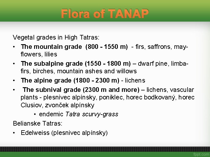 Flora of TANAP Vegetal grades in High Tatras: • The mountain grade (800 -