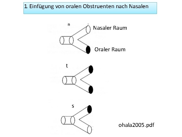 1. Einfügung von oralen Obstruenten nach Nasalen n Nasaler Raum Oraler Raum t s