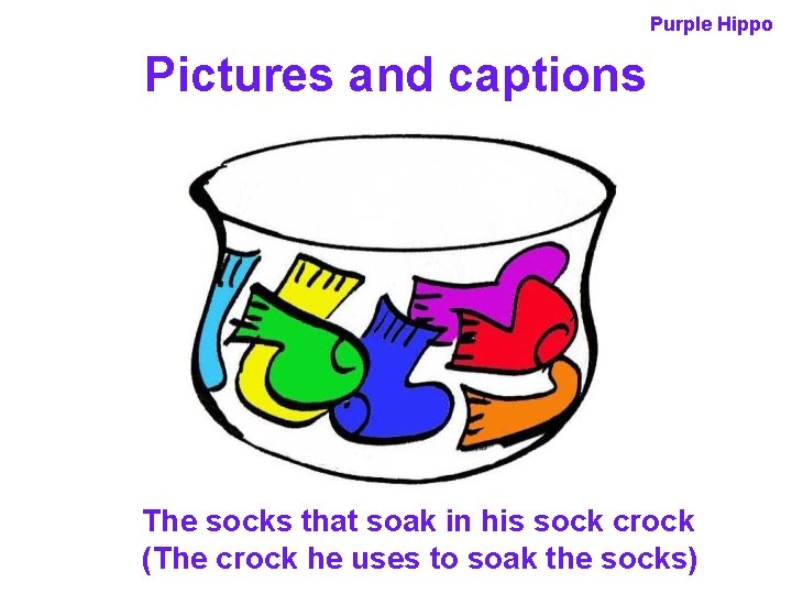 Purple Hippo Pictures and captions The socks that soak in his sock crock (The