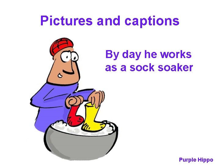 Pictures and captions By day he works as a sock soaker Purple Hippo 