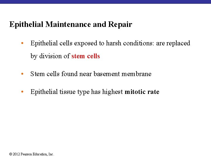 Epithelial Maintenance and Repair • Epithelial cells exposed to harsh conditions: are replaced by