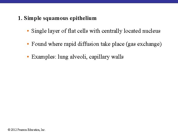 1. Simple squamous epithelium • Single layer of flat cells with centrally located nucleus