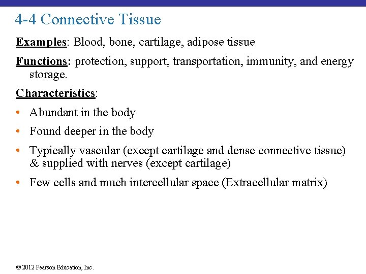 4 -4 Connective Tissue Examples: Blood, bone, cartilage, adipose tissue Functions: protection, support, transportation,