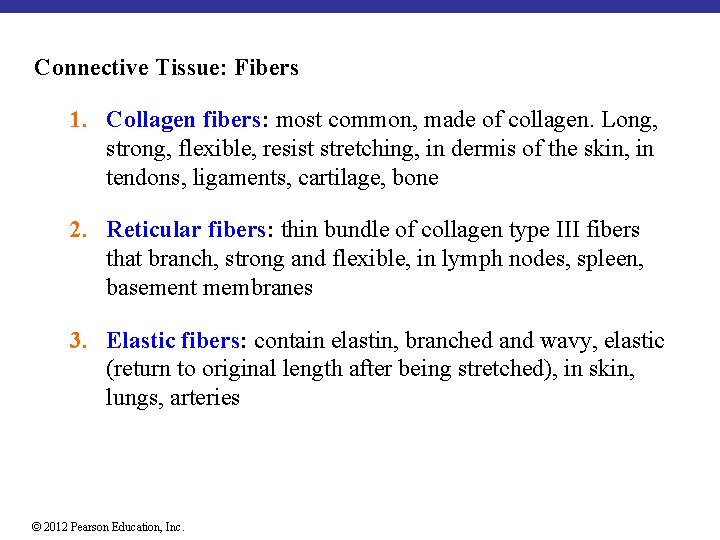 Connective Tissue: Fibers 1. Collagen fibers: most common, made of collagen. Long, strong, flexible,