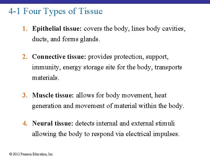 4 -1 Four Types of Tissue 1. Epithelial tissue: covers the body, lines body