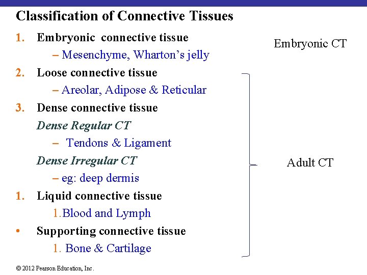 Classification of Connective Tissues 1. Embryonic connective tissue ─ Mesenchyme, Wharton’s jelly 2. Loose