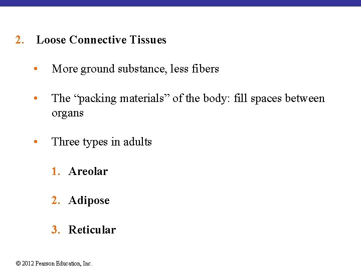 2. Loose Connective Tissues • More ground substance, less fibers • The “packing materials”