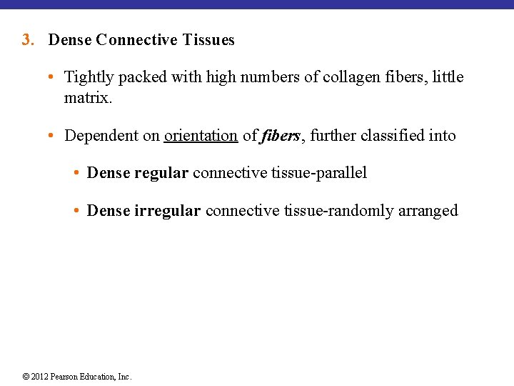 3. Dense Connective Tissues • Tightly packed with high numbers of collagen fibers, little