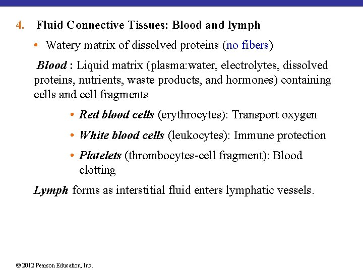 4. Fluid Connective Tissues: Blood and lymph • Watery matrix of dissolved proteins (no