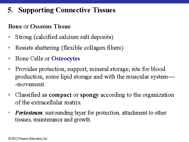 5. Supporting Connective Tissues Bone or Osseous Tissue • Strong (calcified calcium salt deposits)