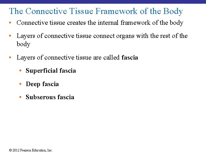 The Connective Tissue Framework of the Body • Connective tissue creates the internal framework