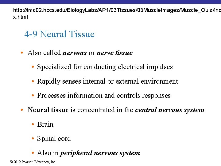 http: //imc 02. hccs. edu/Biology. Labs/AP 1/03 Tissues/03 Muscle. Images/Muscle_Quiz/ind x. html 4 -9