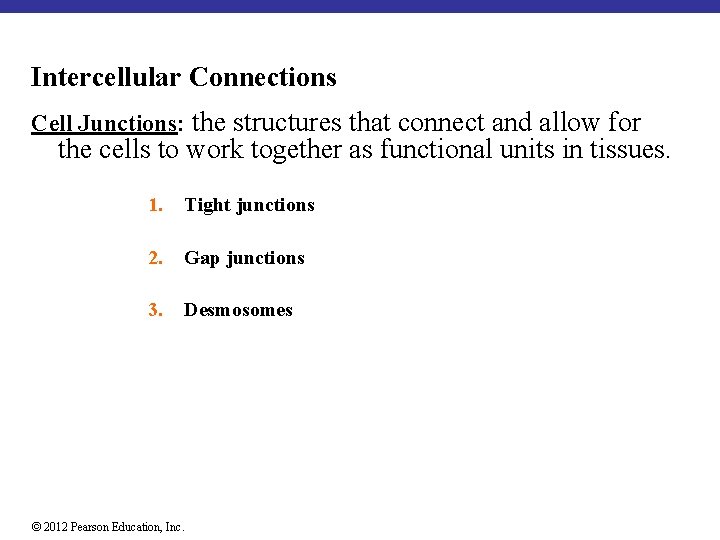 Intercellular Connections Cell Junctions: the structures that connect and allow for the cells to