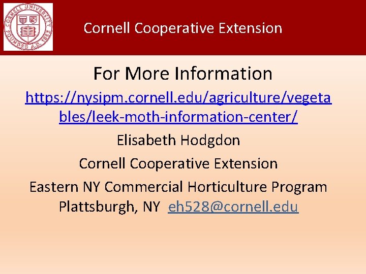 Cornell Cooperative Extension For More Information https: //nysipm. cornell. edu/agriculture/vegeta bles/leek-moth-information-center/ Elisabeth Hodgdon Cornell