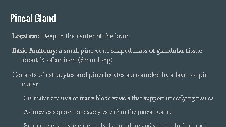 Pineal Gland Location: Deep in the center of the brain Basic Anatomy: a small