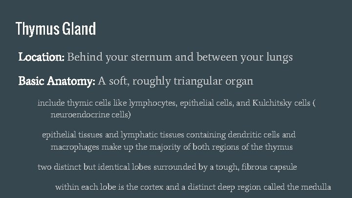 Thymus Gland Location: Behind your sternum and between your lungs Basic Anatomy: A soft,