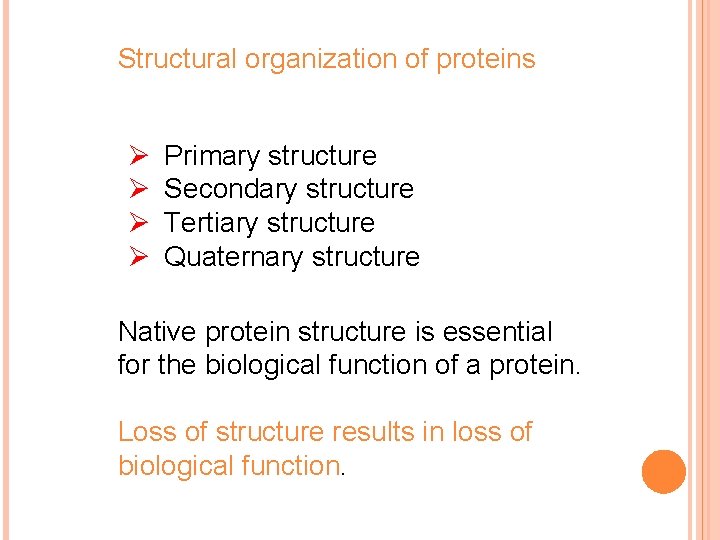 Structural organization of proteins Ø Ø Primary structure Secondary structure Tertiary structure Quaternary structure