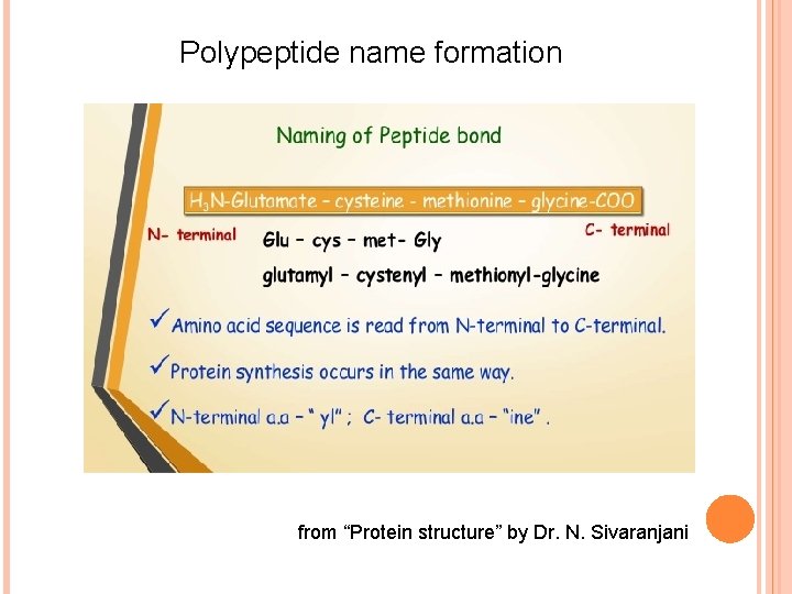 Polypeptide name formation from “Protein structure” by Dr. N. Sivaranjani 
