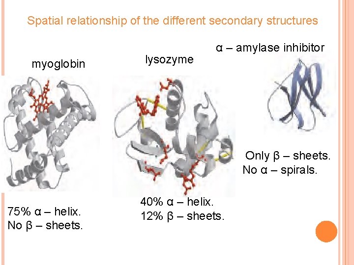 Spatial relationship of the different secondary structures myoglobin lysozyme α – amylase inhibitor Only