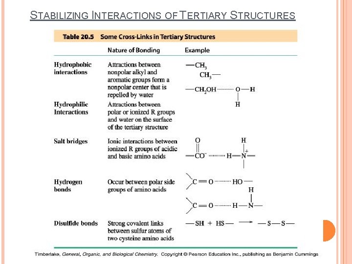 STABILIZING INTERACTIONS OF TERTIARY STRUCTURES 