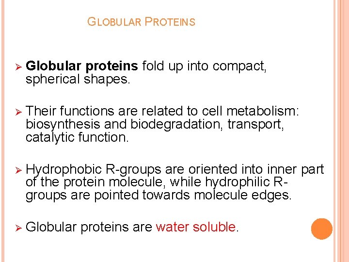 GLOBULAR PROTEINS Ø Globular proteins fold up into compact, spherical shapes. Ø Their functions