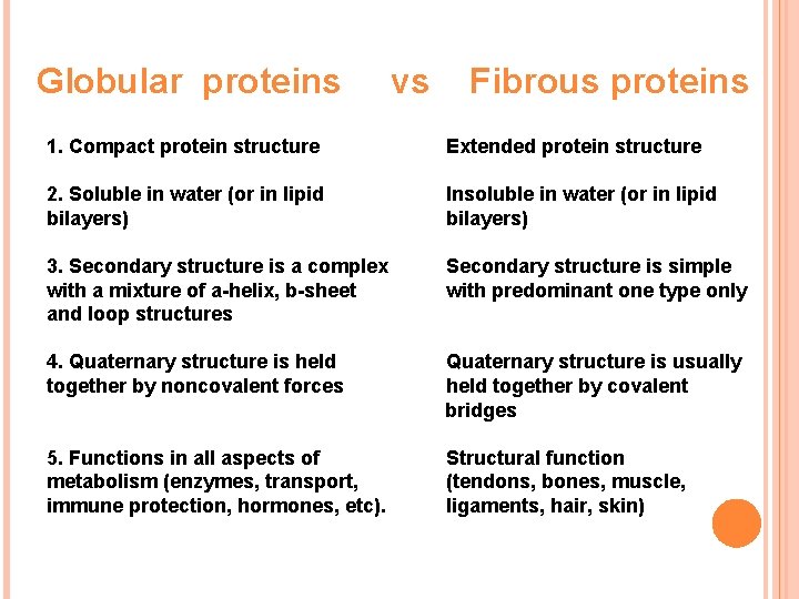 Globular proteins vs Fibrous proteins 1. Compact protein structure Extended protein structure 2. Soluble