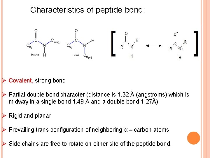 Characteristics of peptide bond: Ø Covalent, strong bond Ø Partial double bond character (distance