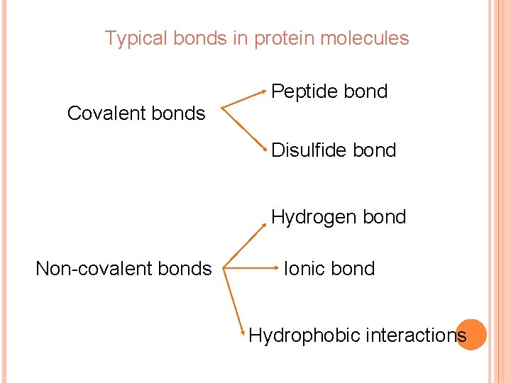 Typical bonds in protein molecules Peptide bond Covalent bonds Disulfide bond Hydrogen bond Non-covalent