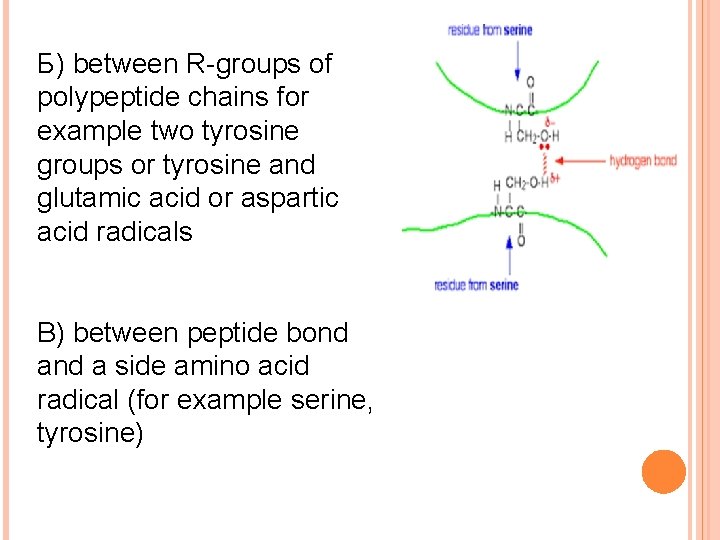 Б) between R-groups of polypeptide chains for example two tyrosine groups or tyrosine and