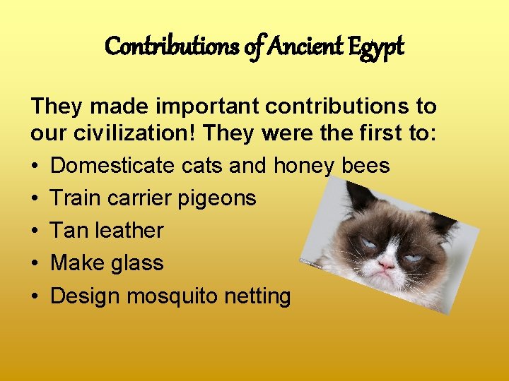 Contributions of Ancient Egypt They made important contributions to our civilization! They were the