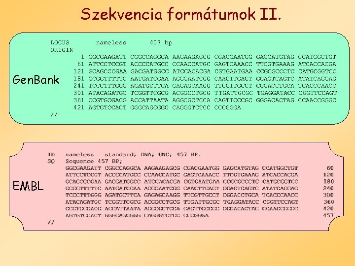 Szekvencia formátumok II. Gen. Bank EMBL 