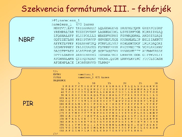 Szekvencia formátumok III. – fehérjék NBRF PIR 