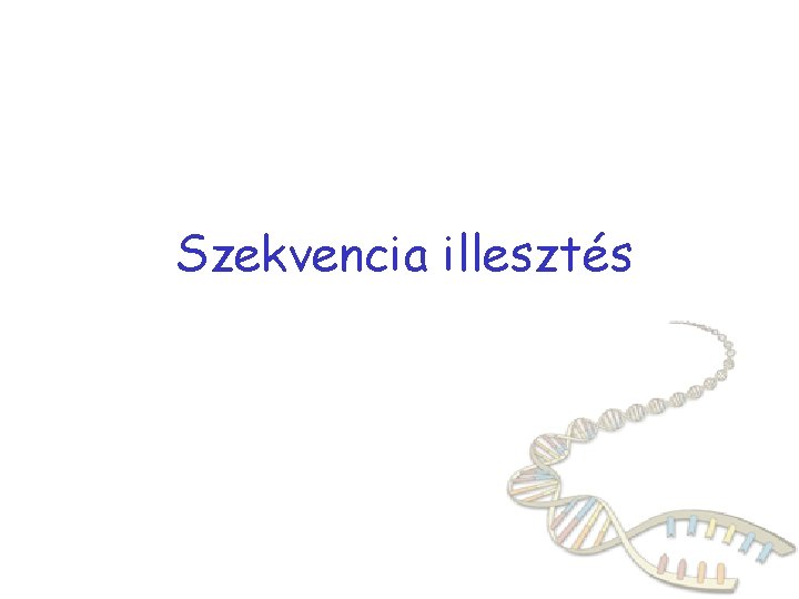 Szekvencia illesztés 